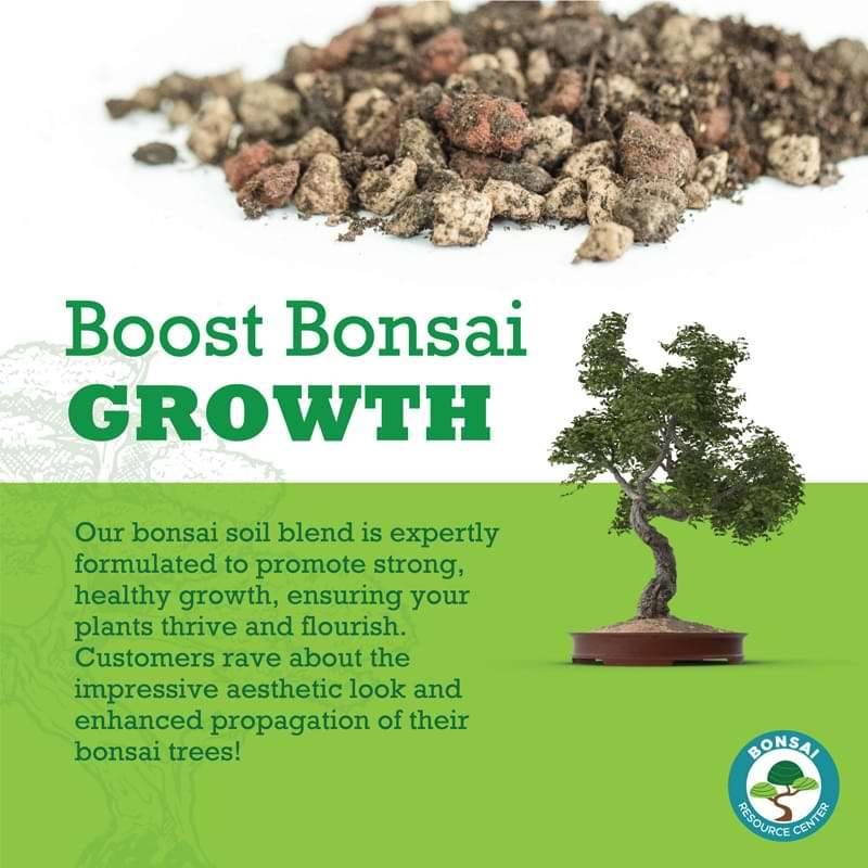 Bonsai Soil Bonsai Tree Resource Center Bonsai Tree Care Tips
