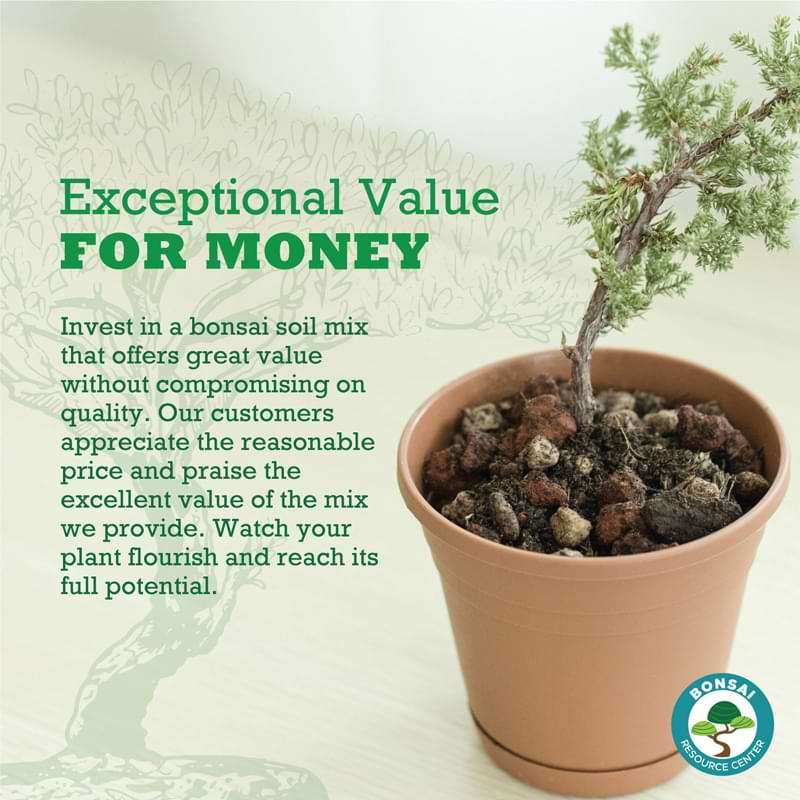 Bonsai Soil Bonsai Tree Resource Center Bonsai Tree Care Tips