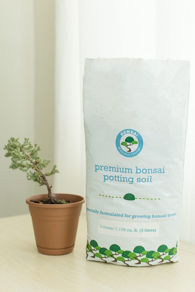 The Best Soil Mix For A Bonsai Tree