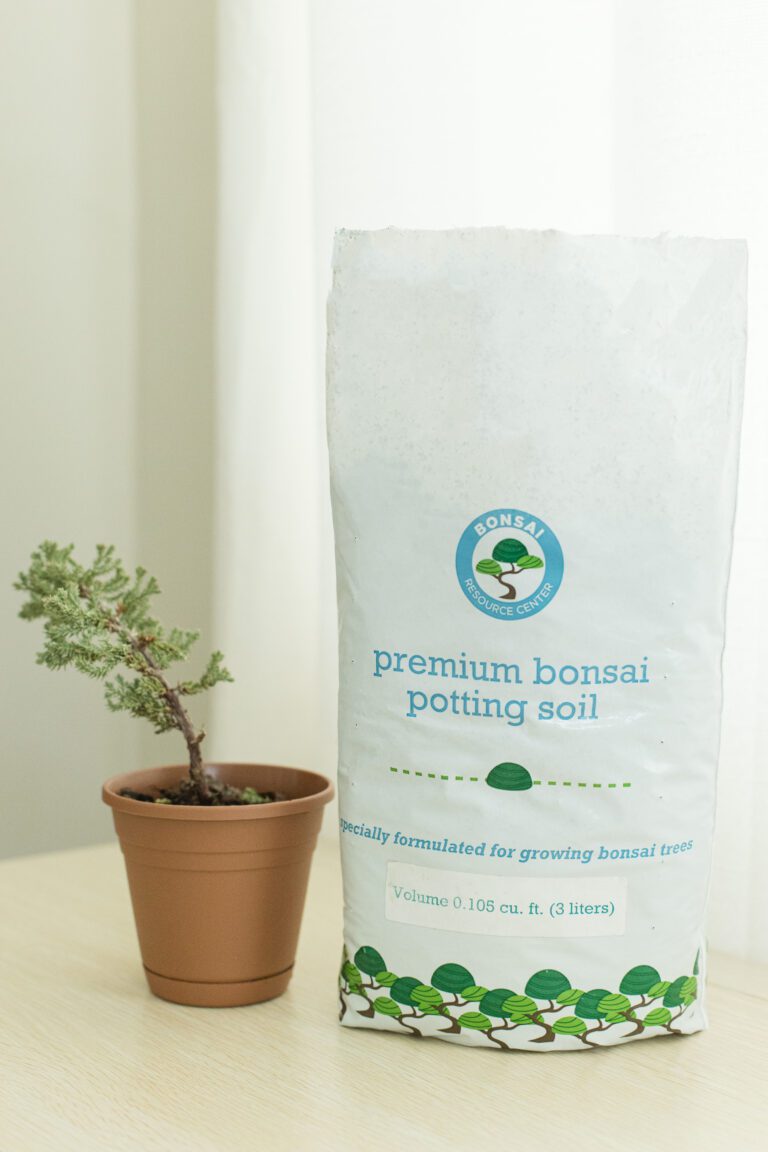The Best Soil Mix For A Bonsai Tree