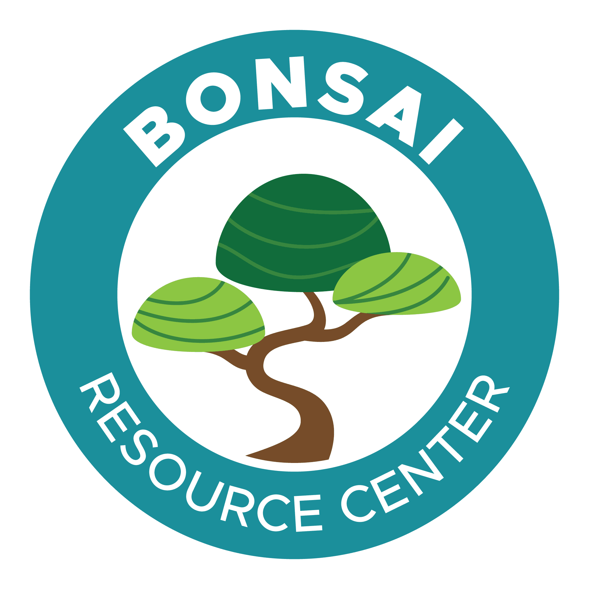 How Tall Will my Bonsai Tree Grow? - Learn how to control the size and –  Natureit