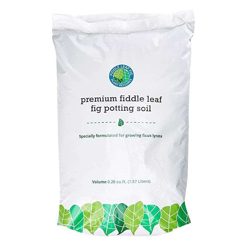 Premium Fiddle Leaf Fig Potting Soil Bonsai Tree Resource Center